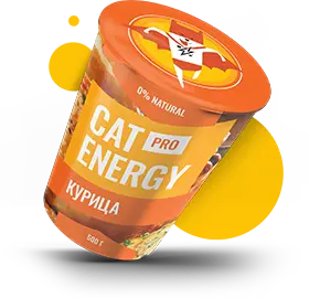 cat-energy-pro